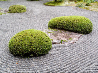 Japanese zen garden