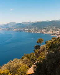 Fototapeta na wymiar Italian Riviera from high. Liguria, camogli