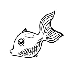 little fish vector illustration on white background