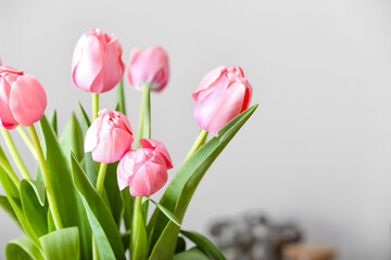 Closeup view of beautiful tulips on light background