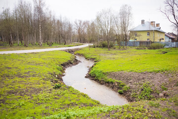 Country street with green grass, bare trees and houses, water in ditch , cloudy weather, early spring