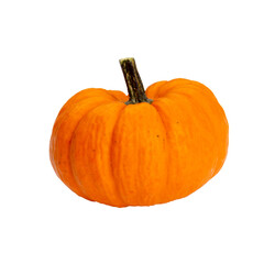 Creative Top view flat lay pumkin composition.