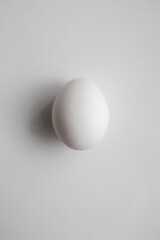 White egg on white background with soft shadows