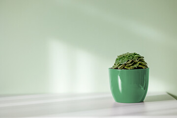 green flower pot