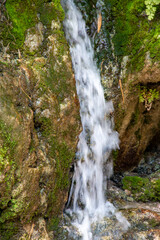 The national park Ein Gedi, Israel