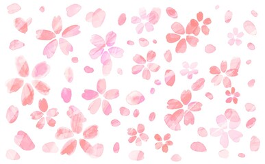 水彩画。水彩タッチの桜の花びら。春に舞う桜の花びらと白背景。Watercolor painting. Cherry blossom petals with a touch of watercolor. Cherry blossom petals dancing in spring and white background.