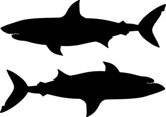 Black and white vector illustration of shark. Silhouette of a sea monster. Terrible bloodthirsty predator. A monster of the ocean depths