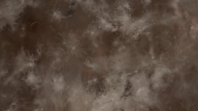 Production of textile, down and feather visible inside the stuffing machine