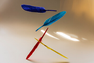 Feather, bird feather, artificial feather, painted feather falling and floating
