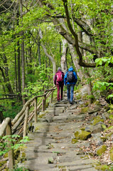 Obraz premium wanderer in der rhön