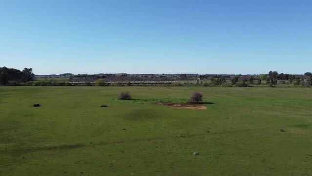 Paisaje de campo llano - Argentina - Buenos Aires - Dron
