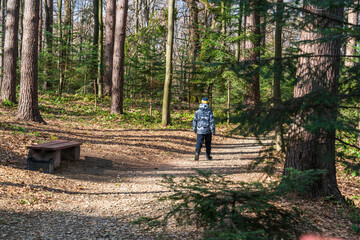 Obraz premium A lonely boy walks along a forest path on a sunny day among tall trees. Rear side view