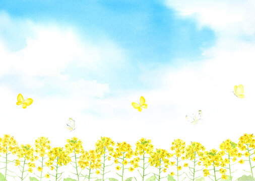 水彩イラスト Images Browse 6 297 Stock Photos Vectors And Video Adobe Stock