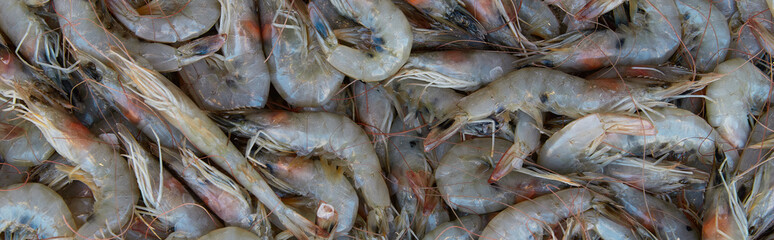 Fresh raw caught shrimps on ice on sale at fish market. Seafood pattern