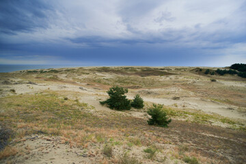 dunes