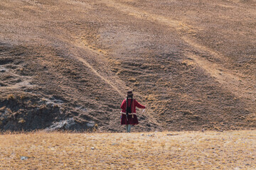 mujer vestida de rojo con sombrero hilando fibra de alpaca en rueca y caminando en los andes en un...