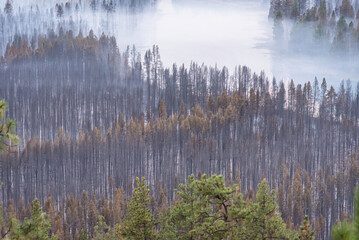 Smoke settles in a valley following a destructive wildfire