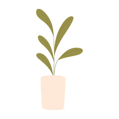 Isolated home plant Interior decoration Vector