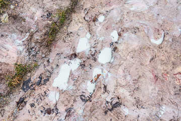 Footprints of people in clayey ground.