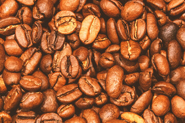 Grains de café arabica 