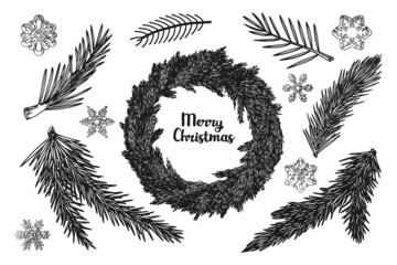 Christmas wreath and branches of different plants isolated on white background. Sketch, illustration