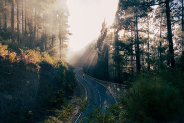 Obraz premium Sunset with a lot of fog in landscape with curves