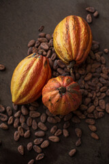 Cocoa maracas. Cocoa beans. Tropical fruit. Trinidad cocoa. Chocolate bar