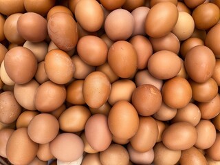 the tea eggs are full of the pot to sell design for brown eggs background close-up. High quality photo