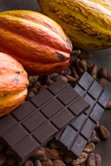 Cocoa maracas. Cocoa beans. Tropical fruit. Trinidad cocoa. Chocolate bar