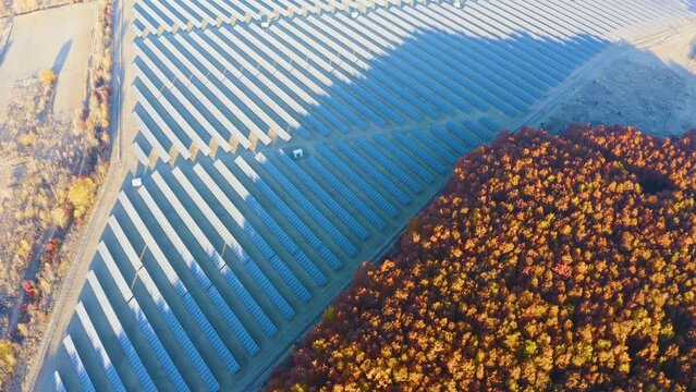 A herd of sheep grazes among solar electric panels - an interesting solution to the rational use of the land. Aerial  drone copter video from a bird's eye view.