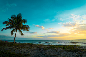 Fototapeta na wymiar Tropical sundown landscape with palm tree and beach