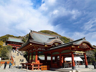 Fototapeta premium 冬の鶴岡八幡宮 鎌倉市 日本