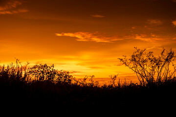 Obraz premium Beautiful sunset silhouette with golden sky