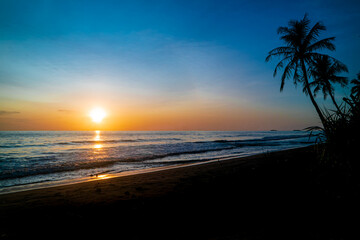 Fototapeta na wymiar Tropical beach sunset with palm tree and colorful sky