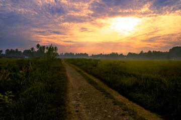 Rural sunrise panorama with road