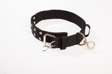 Black dog collar on white background