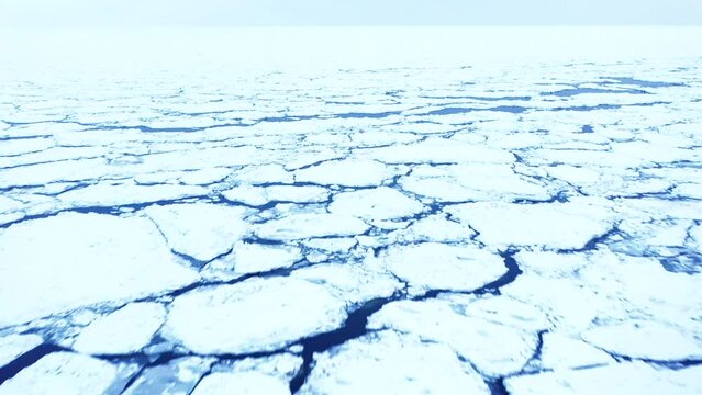 知床半島の流氷　空撮