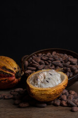 Cocoa fruit and seeds. Cocoa Creole. Trinidad cocoa. Foreign Cocoa. Chocolate