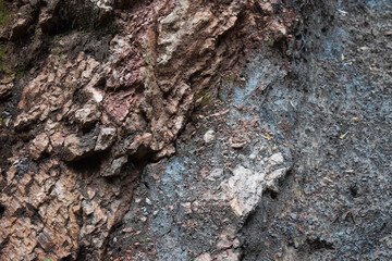 Stone and soil texture