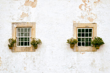 Windows decorated with potted plants