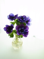 bouquet of blue anemone