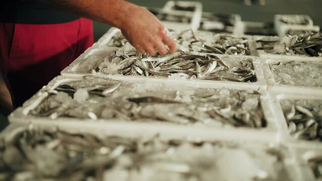 people working at the fishers slice of Cadiz on a sunny morning