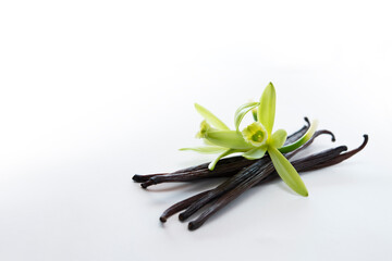 Vanilla pods undergo a aging process until they are browned with vanilla flowers on a white background.