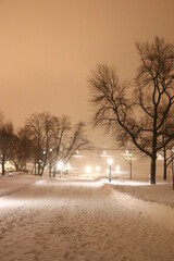 Winter landscape in Quebec. Evening in winter. Snow landscape. Lights in evening and park. Sky in winter.