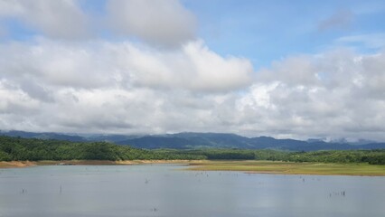 A large swamp. During the day, trees grow on the water. big mountain bright sky