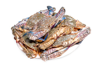 Fresh seafood  blue crab on white background  ready to cook. blue crab isolate on white background ...