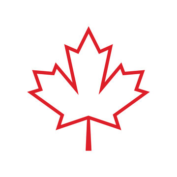 Marple leaf logo, icon vector desaign illustration
