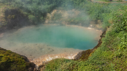 Turquoise hot lake in the Valley of Geysers.  Steam over the water. There is lush green vegetation on the banks. Kamchatka
