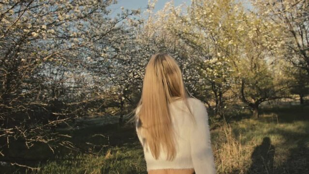 Attractive young woman in sweater, jeans is dance and spinning among blossom apple tree. Sunset, spring orchard and green field. Slow motion. Caucasian one girl, long fluttering hair. Sun glasses.