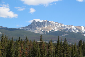 Mountain Beyond The Trees